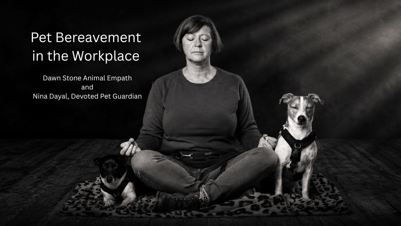 Dawn’s video about pet bereavement and returning to work
