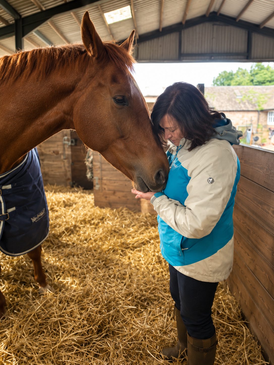 A chestnut horse looking out from a stable, the straw and timber warm in the light
