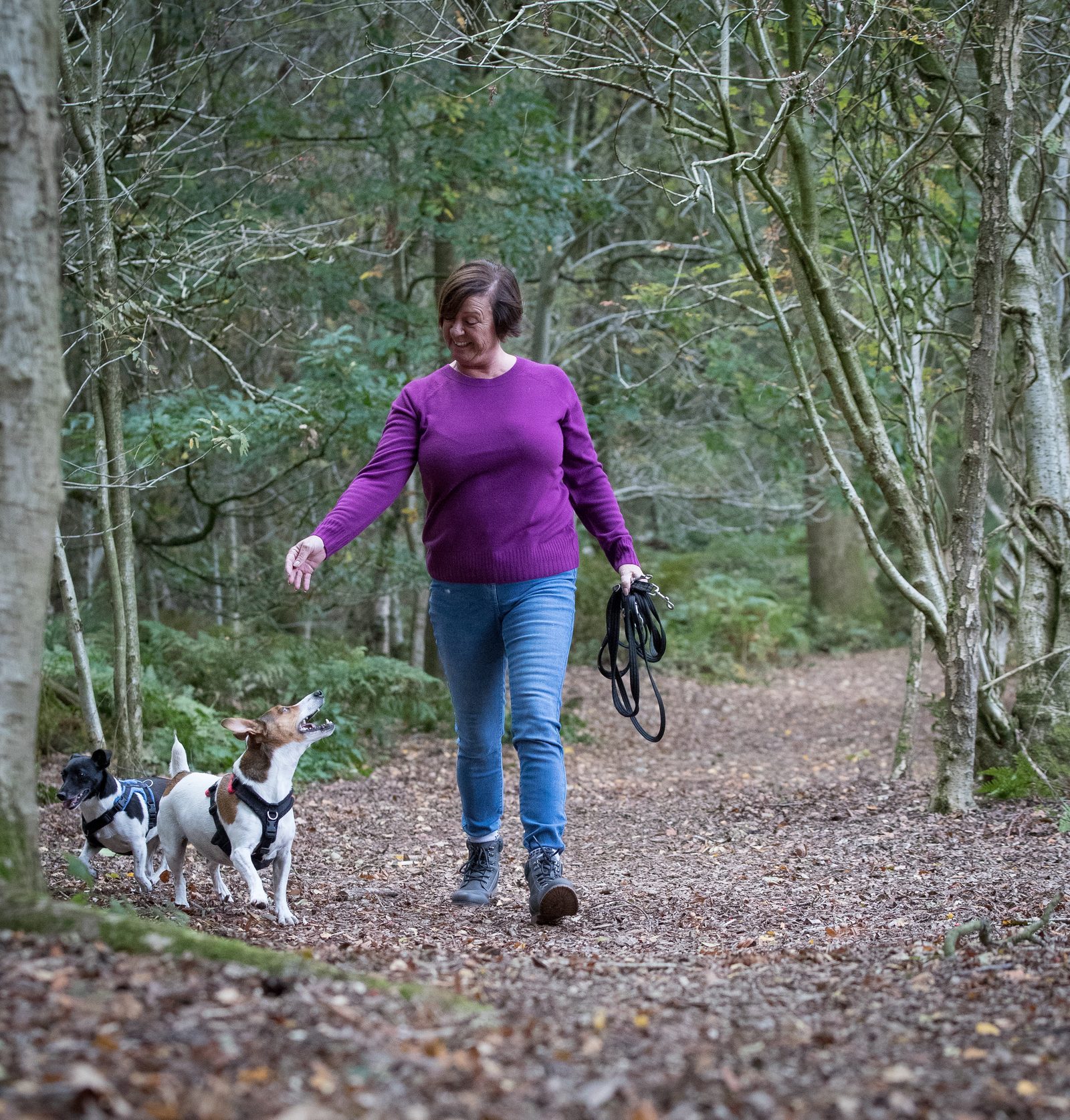 Dawn walking with Mylo and Millie along a woodland path